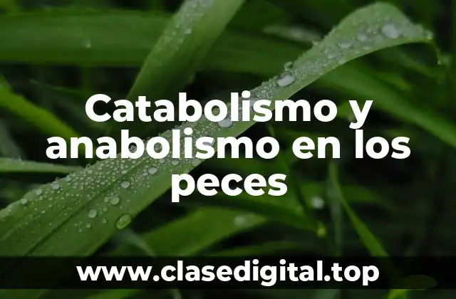 Catabolismo y anabolismo en los peces