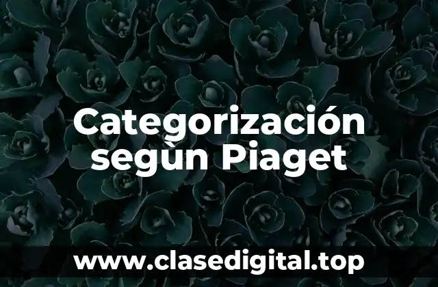 Categorización segùn Piaget