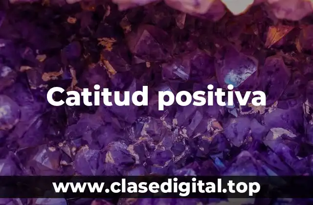 Catitud positiva