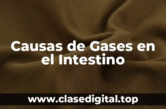 Causas de Gases en el Intestino