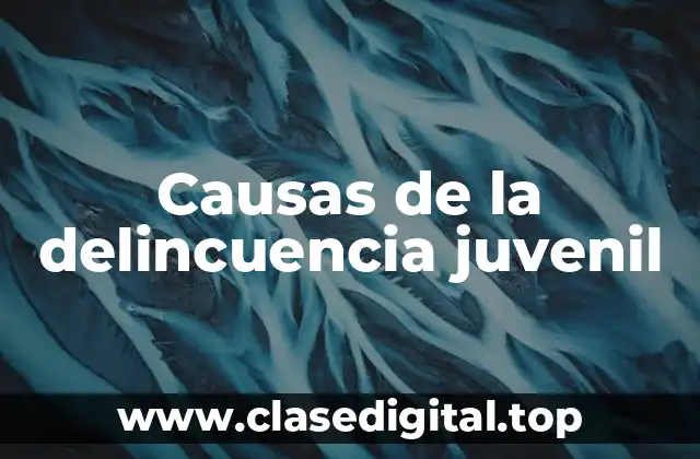 Causas de la delincuencia juvenil