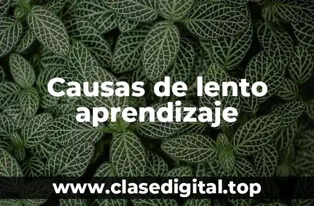 Causas de lento aprendizaje