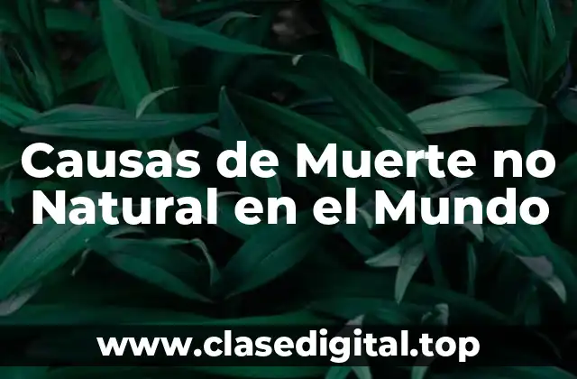 Causas de Muerte no Natural en el Mundo