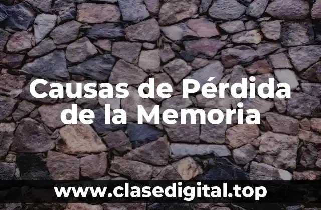 Envejecimiento como Causa de Pérdida de la Memoria