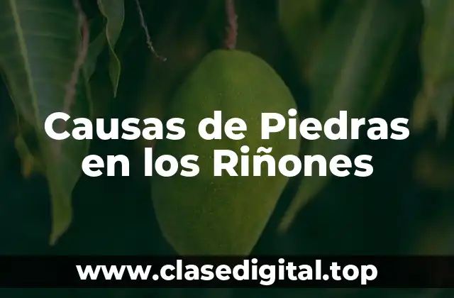 Causas de Piedras en los Riñones