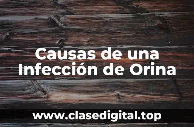 Causas de una Infección de Orina