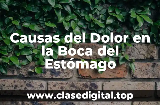Causas del Dolor en la Boca del Estómago