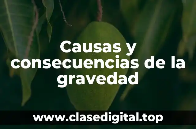 Causas y consecuencias de la gravedad