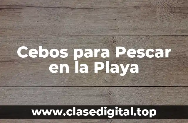 Cebos para Pescar en la Playa