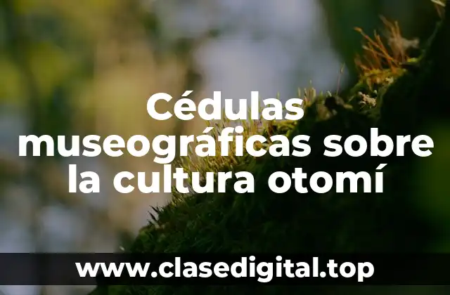 Ejemplos de cédulas museográficas sobre la cultura otomí
