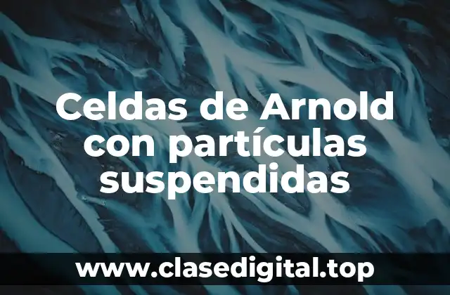 Ejemplos de celdas de Arnold con partículas suspendidas