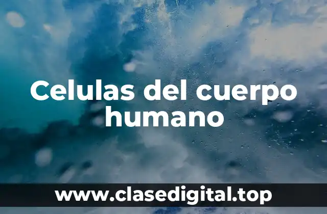 Celulas del cuerpo humano