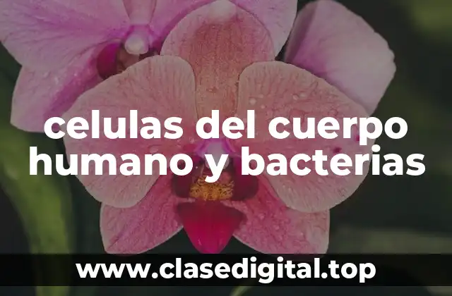 celulas del cuerpo humano y bacterias