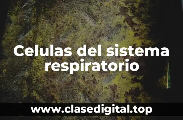 Ejemplos de células del sistema respiratorio