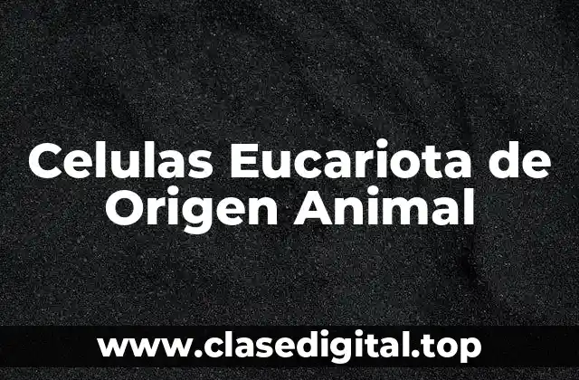 Celulas Eucariota de Origen Animal