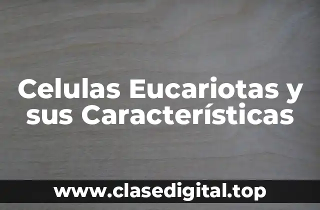 Celulas Eucariotas y sus Características