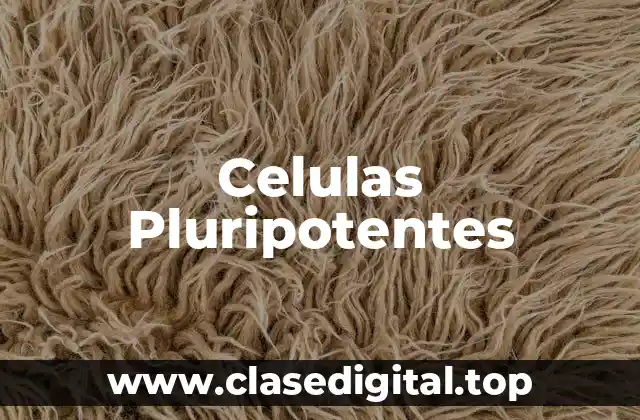Celulas Pluripotentes