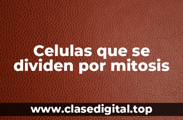 Celulas que se dividen por mitosis