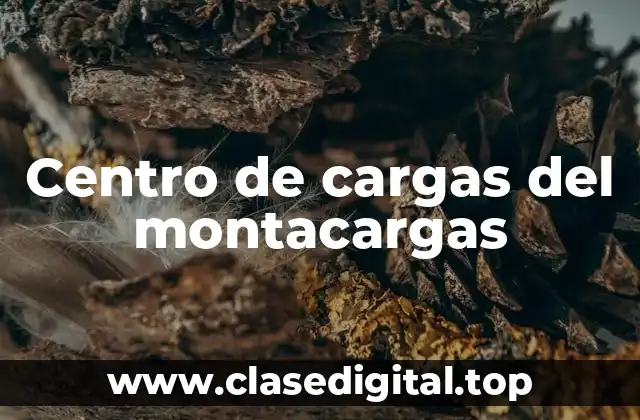 Centro de cargas del montacargas