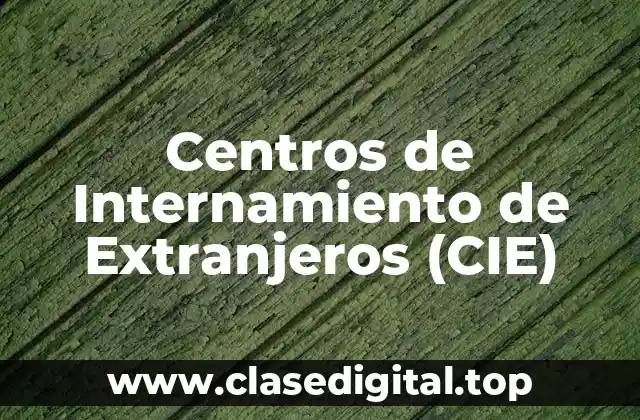 Centros de Internamiento de Extranjeros (CIE)