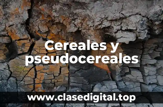 Cereales y pseudocereales