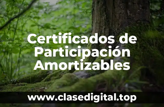 Certificados de Participación Amortizables