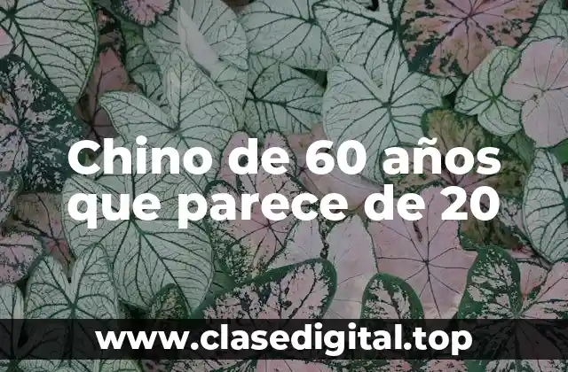 Factores que Contribuyen a la Longevidad