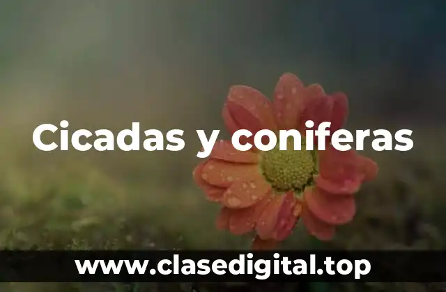 Cicadas y coniferas