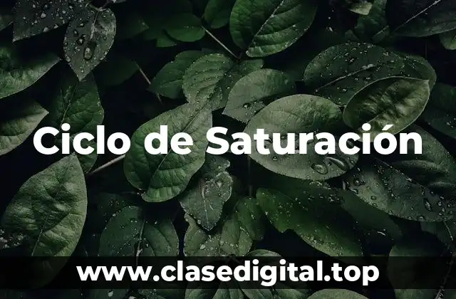 Ciclo de Saturación