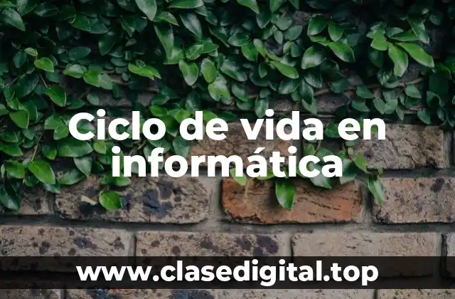 Ciclo de vida en informática