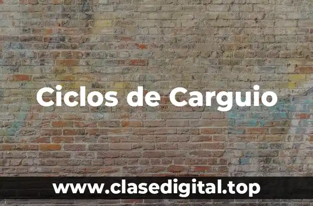 Ciclos de Carguio