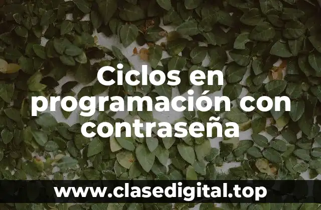 Ciclos en programación con contraseña