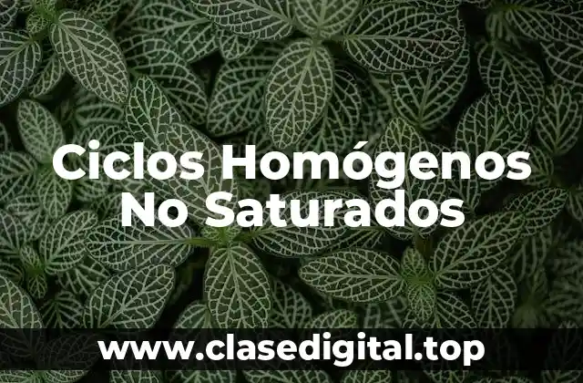 Ejemplos de Ciclos Homógenos No Saturados
