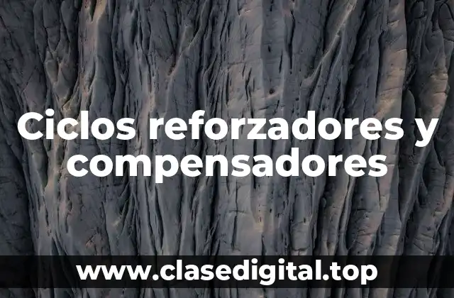 Ciclos reforzadores y compensadores