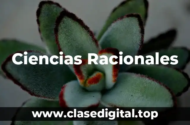 Ciencias Racionales