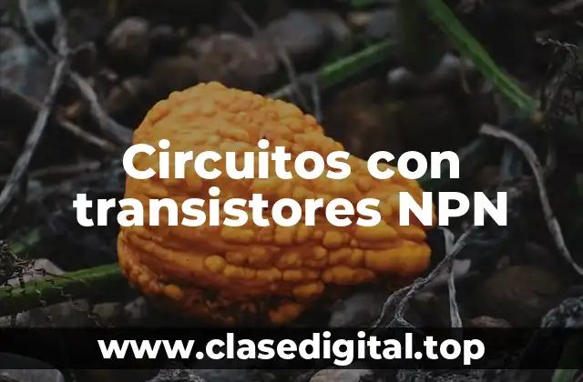 Circuitos con transistores NPN