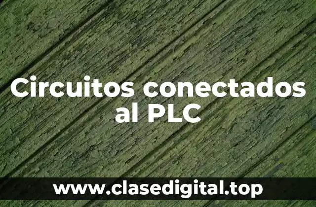 Circuitos conectados al PLC