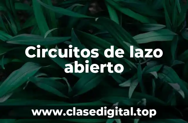 Circuitos de lazo abierto
