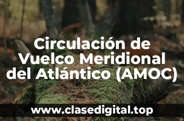 Circulación de Vuelco Meridional del Atlántico (AMOC)