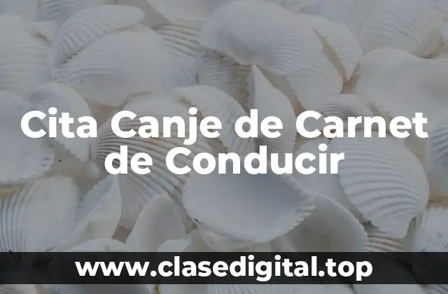 Cita Canje de Carnet de Conducir