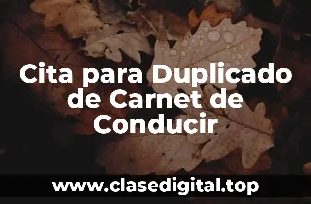 Cita para Duplicado de Carnet de Conducir