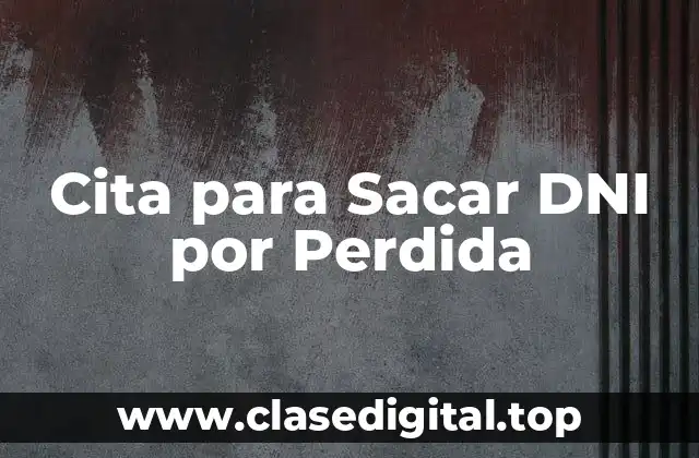 ¿Qué es el DNI y por qué es importante?