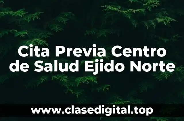 ¿Por qué es importante programar una cita previa en el Centro de Salud Ejido Norte?