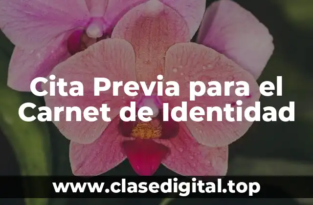 Cita Previa para el Carnet de Identidad