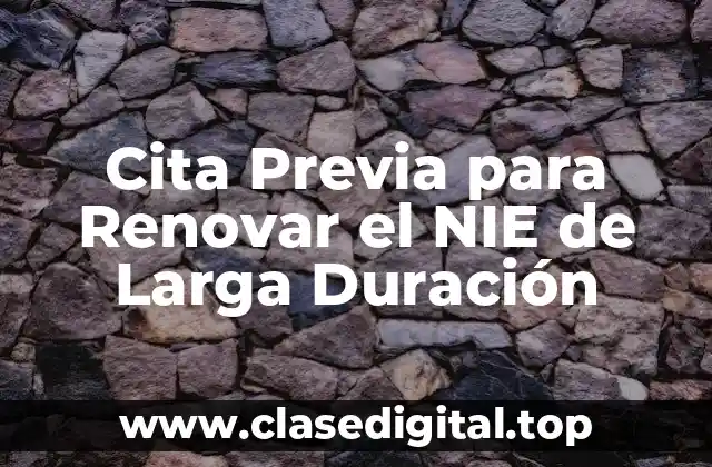 Cita Previa para Renovar el NIE de Larga Duración