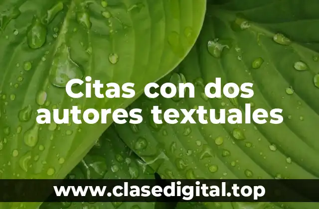 Citas con dos autores textuales