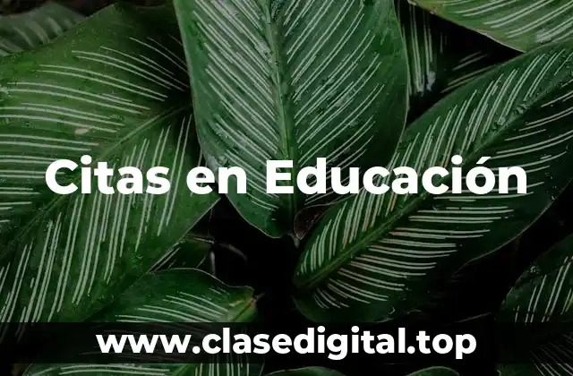Ejemplos de citas en educación