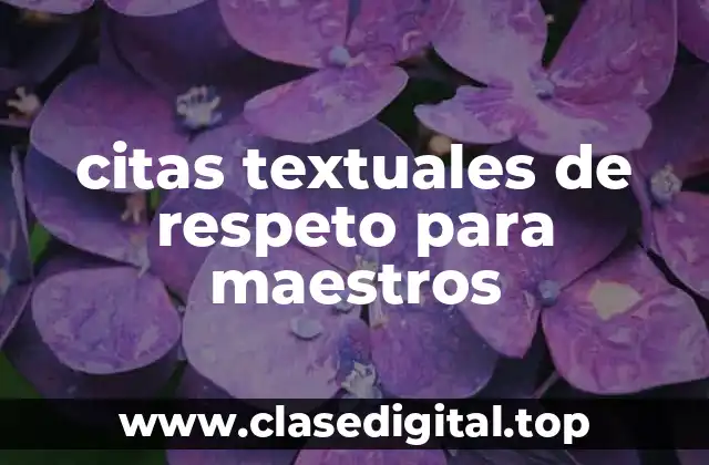 citas textuales de respeto para maestros