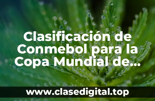 Clasificación de Conmebol para la Copa Mundial de Fútbol