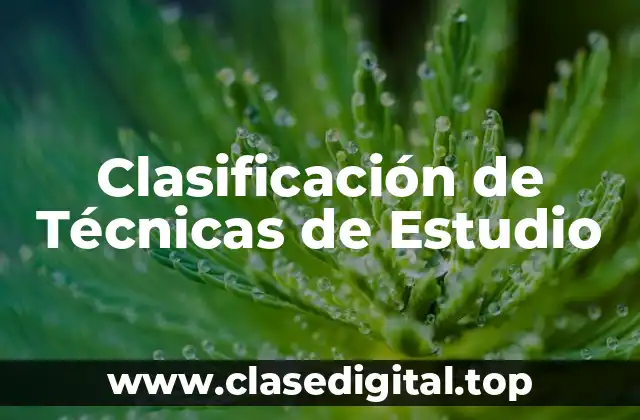 Clasificación de Técnicas de Estudio
